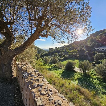 Agroturismo Finca Can Sec 阿拉罗 外观 照片