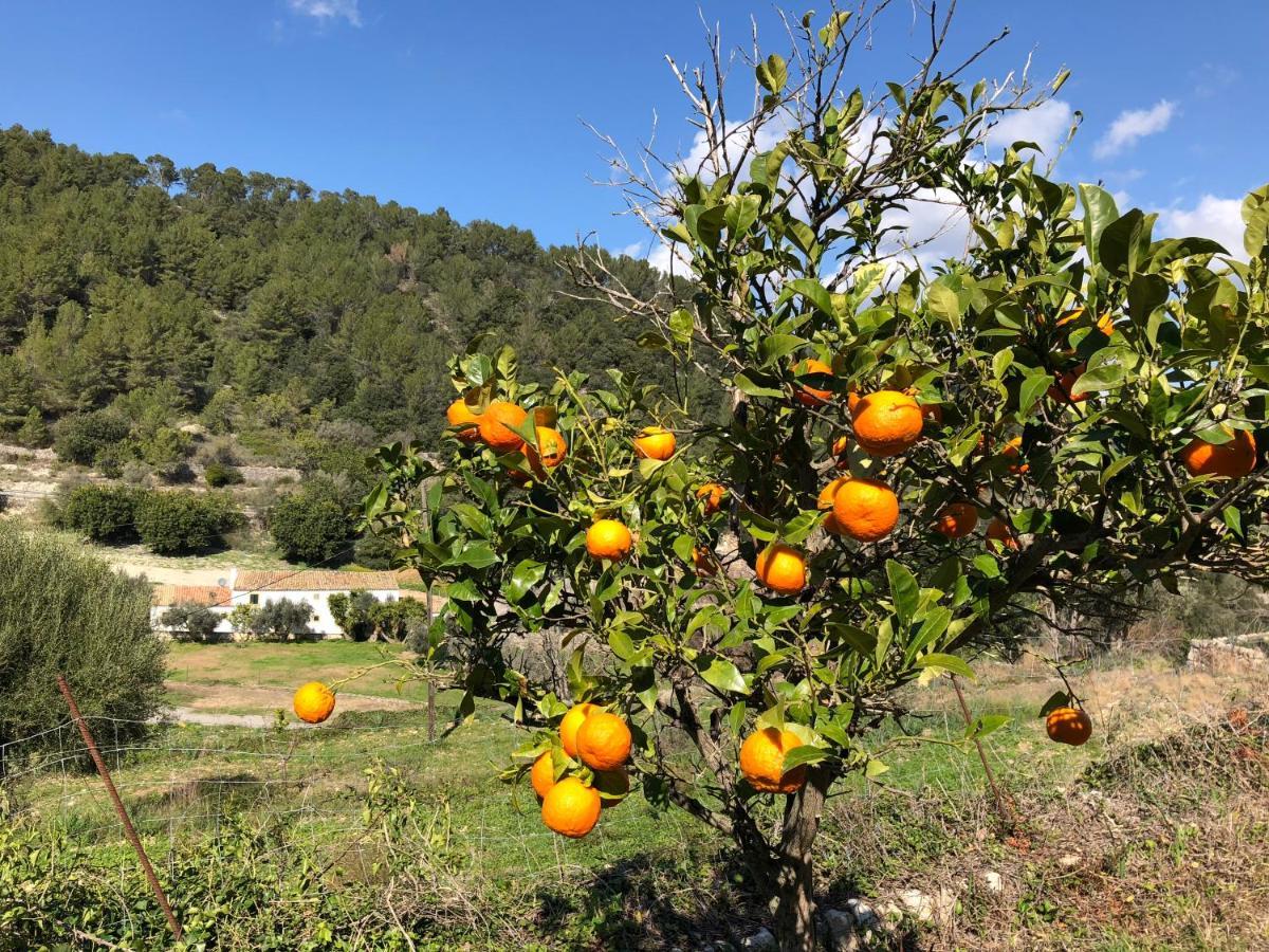 Agroturismo Finca Can Sec 阿拉罗 外观 照片