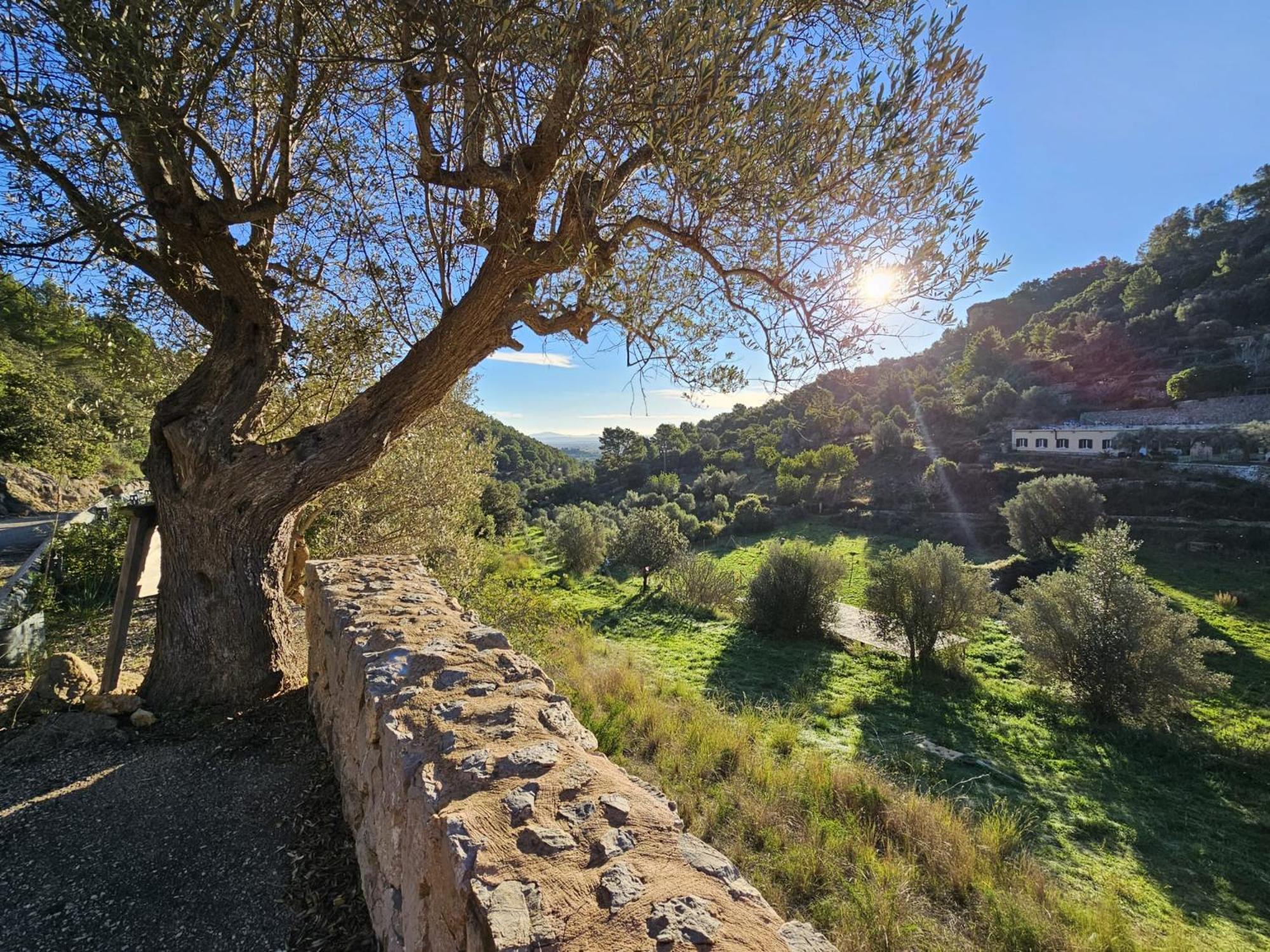 Agroturismo Finca Can Sec 阿拉罗 外观 照片