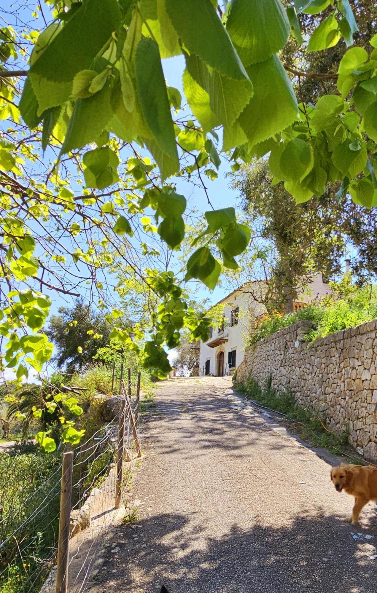 Agroturismo Finca Can Sec 阿拉罗 外观 照片